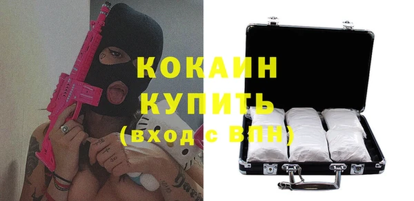 гидра Киреевск