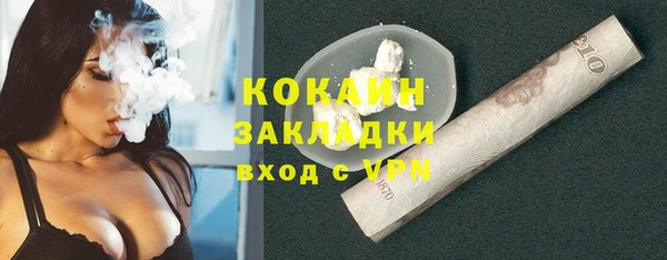 гидра Киреевск