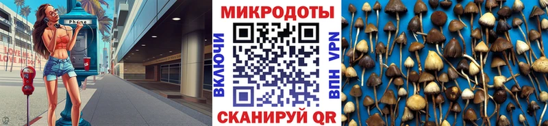 Купить где  Белозерск  Галлюциногенные грибы MAGIC MUSHROOMS 